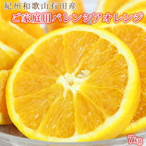 [先行予約]希少な国産バレンシアオレンジ 7kg [家庭用 訳あり]
