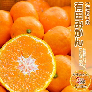 EA6016n_ZȖ킢̂ Lc݂ 3kg (݂E召)