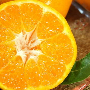 V7409_͂[2.8kg]a̎RLcY t݂(ʎTCY܂) tk Iɍq{