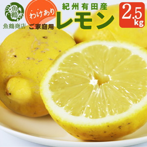 [先行予約][ご家庭用 訳あり]紀州有田産レモン 2.5kg