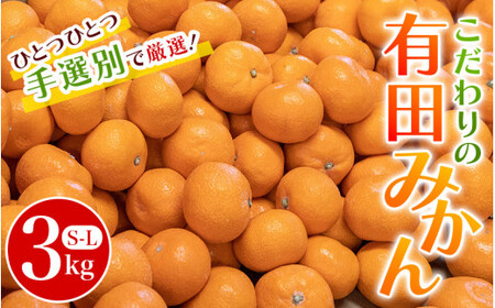 こだわりの和歌山県産 有田みかん 3kg(S〜Lサイズ) ひとつひとつ手選別で厳選!生産者から直送 [11月中旬〜1月中旬頃に順次発送分]/ みかん フルーツ 果物 くだもの 有田みかん 蜜柑 柑橘 [hdm004-r-3]