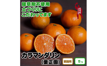 ▼[紀州有田産]タカじいの 家庭用 カラマンダリン 5kg(サイズおまかせM〜2L) ※2025年4月中旬頃から順次発送予定[krs015-c-5]