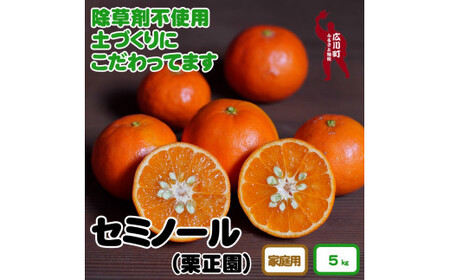 ▼[紀州有田]タカじいの 家庭用 セミノール 5kg(サイズおまかせM〜2L) ※2025年4月中旬頃から順次発送予定[krs016-c-5]