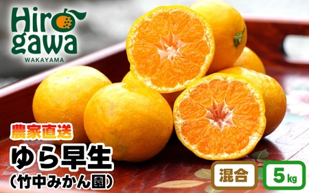 RǑ݂ 5kgi2S`LTCYj 2024N11{`\ ytkn004-r-5Az
