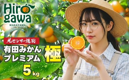 ＼光センサー選別/有田みかん 極 プレミアム 5kg (2S〜Lサイズ) ※11月下旬〜翌年1月上旬頃に順次発送予定 ※北海道・沖縄・離島への配送不可 / 温州みかん みかん 高糖度 柑橘 果物 フルーツ [nuk004-p-5E]