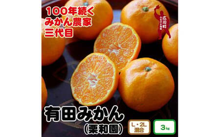 ▼和歌山県産 有田みかん 3kg ※2024年11月上旬〜12月下旬頃に順次発送予定 [krw004-r-3]