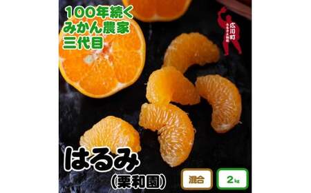 和歌山県 有田産 はるみ 約 2kg (ご家庭用) ※2月中旬頃〜3月下旬頃に順次発送予定 [krw013-c-2]