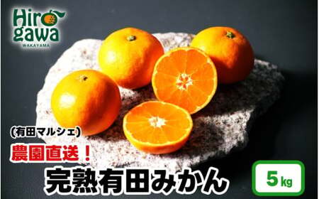 農園直送！ 完熟 有田 みかん 5kg+200g(傷み補償分) ＜12月発送予定＞ 秀・優混み SSサイズ～Lサイズ混合 ※北海道・沖縄・離島への配送不可 / 和歌山 有田みかん ミカン オレンジ 甘い フルーツ 果物 産地直送【ard004-noen-5-12B】