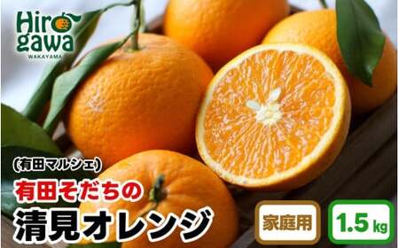 [先行予約][産地直送]有田 育ちの ご家庭用 完熟 清見 オレンジ 1.5kg ※2月下旬〜3月下旬頃に順次発送予定 ※北海道・沖縄・離島への配送不可 / みかん 和歌山 有田 オレンジ フルーツ 果物 甘い[ard011-c-1d5]