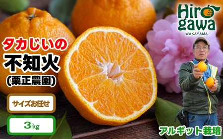 タカじいの 不知火 ( しらぬい ) 3kg / デコポン 甘い 和歌山 有田 柑橘 ※3月上旬〜3月下旬に順次発送 [krs010-r-3]