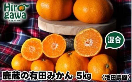  Lc ݂ 󂠂 5kg ZT[ I / B݂ Lc݂ Â ƒp a̎R k 11\ kCEEւ̔zs yikd004-cm-5-novBz