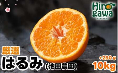͂ I 10kg+250giɂݕ⏞j ZT[ / fR| oi Â  a̎R Lc k 2{?3{ɏ\ kCEEւ̔zs yikd013-p-10z