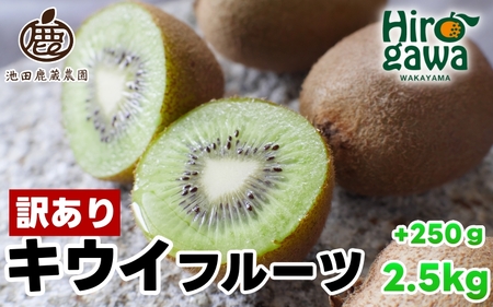 LEC ƒp 2.5kg+250giɂݕ⏞j / LECt[c 󂠂 a̎R 2025N11{`2026N6{ɏ kCEEւ̔zs yikd505-c-2d5z