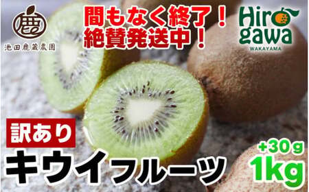 キウイ 家庭用 1kg+30g(傷み補償分) / キウイフルーツ 訳あり 訳アリ わけあり ヘルシー ダイエット フルーツ 5000円 果物 和歌山 すぐ届く ※11月中旬〜6月中旬に順次発送 ※北海道・沖縄・離島への配送不可[ikd505-c-1]