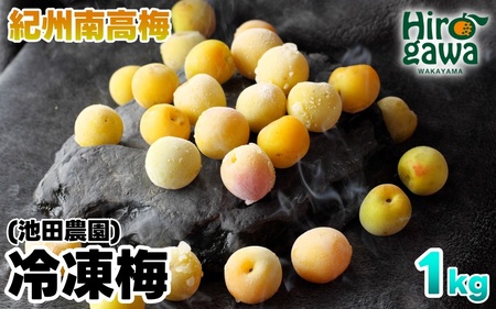 Ⓚ ~ 1kg ƒp / 썂~ 󂠂 ~ n~ ~W[X ~ a̎R 7{藂N3܂ŏ kCEEւ̔zs yikd510-c-1Bz