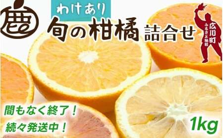柑橘 詰合せ 1kg+30g 訳あり 光センサー / みかん 不知火 清見 八朔 伊予間 セミノール レモン 3種類以上 詰め合わせ 晩柑 ※1月上旬〜6月下旬に順次発送 ※北海道・沖縄・離島への配送不可[ikd049-c-1]