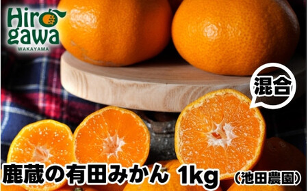 鹿蔵の 有田 みかん 訳あり 1kg 光センサー 選果 / 温州みかん 有田みかん 甘い 家庭用 和歌山 柑橘 ※11月順次発送予定 ※北海道・沖縄・離島への配送不可[ikd004-cm-1-nov]