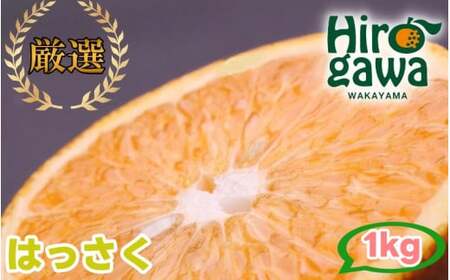 はっさく 1kg+250g(痛み補償分) 厳選 光センサー / 八朔 高級 甘い 和歌山 有田 柑橘 ※1月上旬〜4月上旬頃に順次発送予定 ※北海道・沖縄・離島への配送不可 [ikd021-p-1]