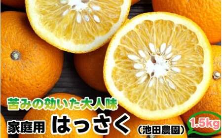 はっさく 1.5kg+250g(痛み補償分) 家庭用 光センサー / 八朔 訳あり 甘い 和歌山 有田 柑橘 ※1月上旬〜4月上旬頃に順次発送予定 ※北海道・沖縄・離島への配送不可 [ikd021-c-1d5]