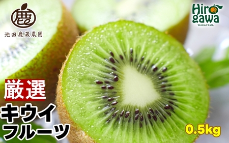 キウイ 厳選 0.5kg+250g(痛み補償分) / キウイフルーツ 高級 和歌山 ※2025年11月中旬〜2026年6月中旬に順次発送 ※北海道・沖縄・離島への配送不可[ikd505-p-0d5]