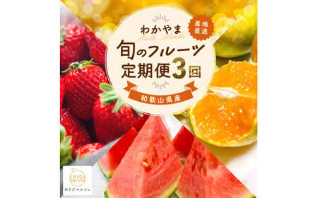 わかやま 旬の くだもの 定期便 S 全3回 / フルーツ まりひめ いちご ひとりじめ すいか ※北海道・沖縄・離島への配送不可