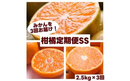 柑橘 定期便 SS[全3回]厳選[ 和歌山県 有田 ] ※北海道・沖縄・離島への配送不可 / 定期便 フルーツ ゆら早生みかん 有田みかん 3回