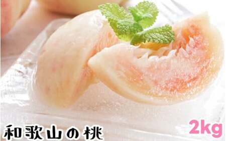 [夏の美味] [和歌山ブランド] フルーツ王国 和歌山の 桃 6〜9玉入り(約2kg) 品種おまかせ / 桃 もも フルーツ くだもの 果物 果実 お中元 お供え お盆 ※北海道・沖縄・その他離島へ配送不可 ※2025年6月中旬〜2025年7月下旬に順次発送 [ard501-r-2]