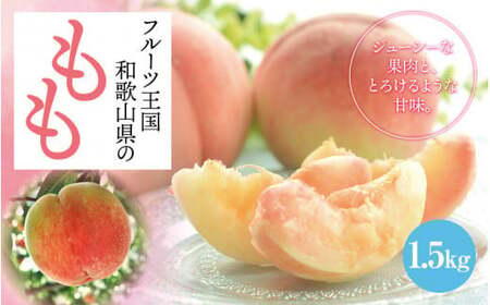 [和歌山ブランド] [厳選] 和歌山 のこだわり 桃 約1.5kg(4〜6玉)/ もも 甘い 果物 ※2025年6月中旬〜7月下旬発送(順次発送予定/お届け日指定不可) ※北海道・沖縄・離島への配送不可 [ard501-p-1d5]