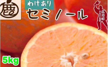 Z~m[ IW ƒp 5kg+250giɂݕ⏞j ZT[ / ݂ Â 󂠂 k ӊ a̎R Lc 4{`6{ɏ kCEEւ̔zs yikd016-c-5