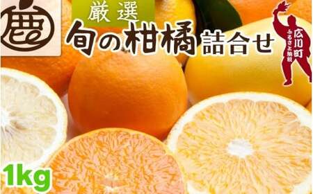 柑橘 詰合せ 1kg+250g(痛み補償分) 厳選 光センサー / 高級 みかん 不知火 清見 八朔 伊予間 セミノール レモン 3種類以上 詰め合わせ 晩柑 ※1月上旬〜6月上旬頃に順次発送 ※北海道・沖縄・離島への配送不可 [ikd049-p-1A]
