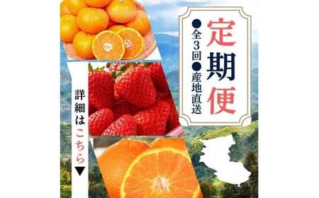 [定期便] ●全3回● 産地直送定期便 [温州みかん・まりひめ・紀州デコ] / みかん いちご 甘い 和歌山 ※離島配送不可 [uot050-san3A]