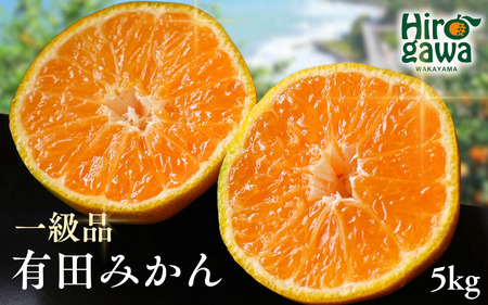 有田みかん 5kg / 和歌山 有田 広川 みかん ミカン 柑橘 果物 くだもの ギフト フルーツ 果実 ※1月上旬〜2月下旬頃に順次発送予定[hkt004-p-5]