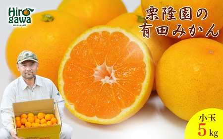 有田 みかん 小玉 5kg / 有田みかん 温州みかん 甘い 小玉 和歌山 柑橘 5kg ※※11月上旬〜翌年1月に順次発送予定[krt004-s-5]