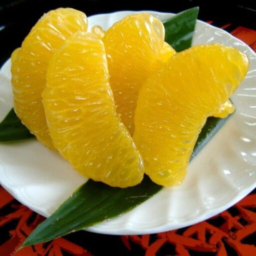 和歌山広川町産 さつきはっさく 約5kg 秀品 サイズおまかせ (Lまたは2Lいずれかお届け) ※2027年3月下旬から4月下旬に順次発送[sml022-satu-r-5]