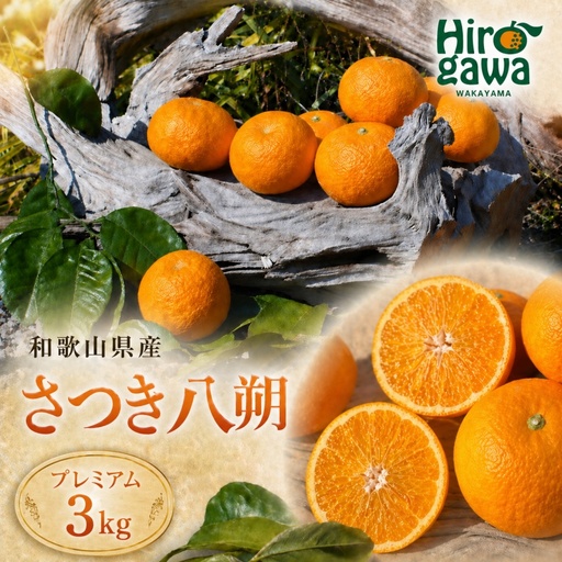 さつき 八朔 プレミアム 3kg ※2027年3月上旬〜2027年3月下旬に順次発送 // さつき 八朔 柑橘 和歌山 有田 家庭用 プレミアム 厳選 訳あり わけあり 傷あり 紀州 国産 [gsa022-p-3]