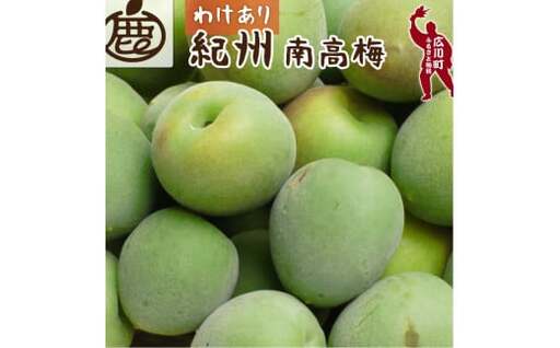 青梅 訳あり 南高梅 15kg+250g（痛み補償分） / 梅 梅ジュース 梅酒 梅干し 家庭用 和歌山 ※5月~6月発送予定 ※北海道・沖縄・離島への配送不可【ikd508-c-15】