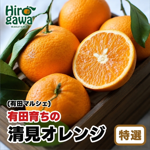 【産地直送】 有田 育ちの 特選 完熟 清見 オレンジ 3kg+200g(補償分)  / みかん 甘い オレンジ フルーツ 果物 有田 和歌山 ※2027年2月下旬～5月上旬に順次発送 ※北海道・沖縄・離島への配送不可 【ard011-p-3B】