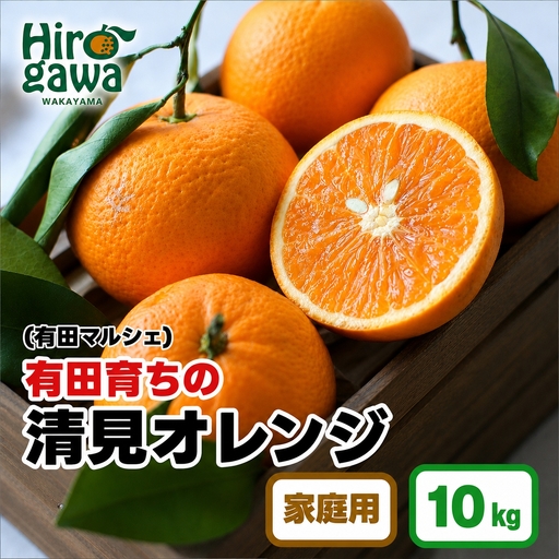【産地直送】 有田 育ちの ご家庭用 完熟 清見 オレンジ 10kg+200g(補償分)  / みかん 甘い オレンジ フルーツ 果物 有田 和歌山 ※2027年2月下旬～5月上旬に順次発送 ※北海道・沖縄・離島への配送不可 【ard011-c-10B】