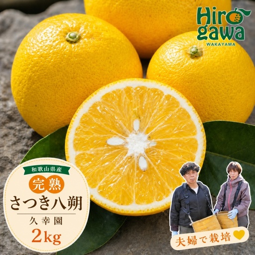 完熟 さつき 八朔 2kg / はっさく 甘い 和歌山 柑橘 ※4月上旬〜5月上旬頃に順次発送予定 [hsk022-r-2]