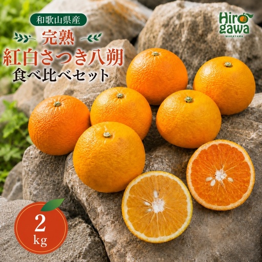 完熟 紅白 さつき 八朔 食べ比べ セット 2kg 6000円 久幸園 / 紅八朔 さつき はっさく 樹上完熟 木成り 柑橘 果物 くだもの フルーツ みかん 和歌山 有田 広川町 ※2027年4月上旬〜5月上旬頃に順次発送予定 //hassaku [hsk022-mix-2]
