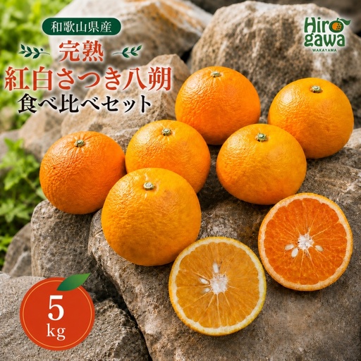 完熟 紅白 さつき 八朔 食べ比べ セット 5kg 10000円 久幸園  /  紅八朔 さつき八朔 はっさく 樹上完熟 完熟 木成り 柑橘 果物 くだもの フルーツ みかん 和歌山 有田 広川町 ※2027年4月上旬〜5月上旬頃に順次発送予定  //hassaku 【hsk022-mix-5】