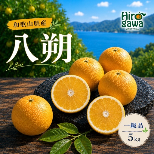 八朔 一級品 5kg / 和歌山 有田 広川 はっさく 柑橘 果物 くだもの ギフト フルーツ 果実 ※2027年2月上旬〜2月下旬頃に順次発送予定[hkt021-p-5]