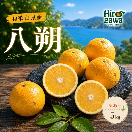八朔 訳あり 5kg / 和歌山 有田 広川 はっさく 柑橘 果物 くだもの ギフト フルーツ 果実 ※2027年2月上旬〜2月下旬頃に順次発送予定[hkt021-c-5]