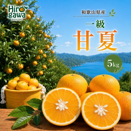 甘夏 一級 5kg / 和歌山 有田 広川 あまなつ 柑橘 果物 くだもの ギフト フルーツ 果実 ※2027年3月上旬〜3月下旬頃に順次発送予定[hkt023-p-5]
