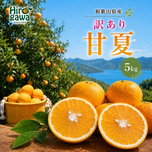 甘夏 訳あり 5kg / 和歌山 有田 広川 あまなつ 訳あり 柑橘 果物 くだもの ギフト フルーツ 果実 ※2027年3月上旬〜3月下旬頃に順次発送予定[hkt023-c-5]