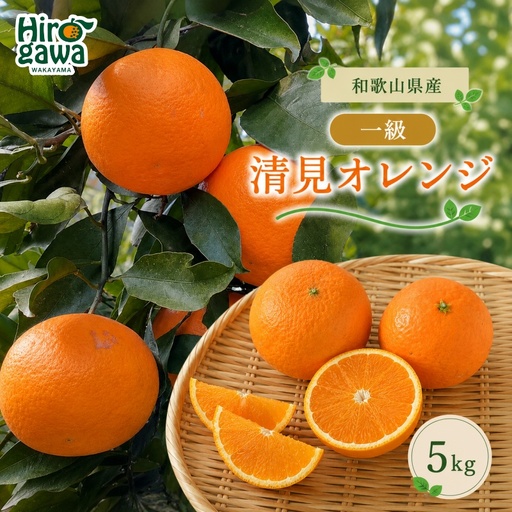 清見 一級品 5kg / 和歌山 有田 広川 清見 オレンジ きよみ 柑橘 果物 くだもの ギフト フルーツ 果実 ※2027年3月上旬〜3月下旬頃に順次発送予定[hkt011-p-5]