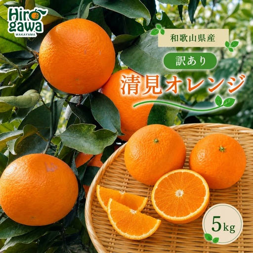 清見 訳あり 5kg / 和歌山 有田 広川 清見 オレンジ きよみ 柑橘 果物 くだもの ギフト フルーツ 果実 ※2027年3月上旬〜3月下旬頃に順次発送予定[hkt011-c-5]