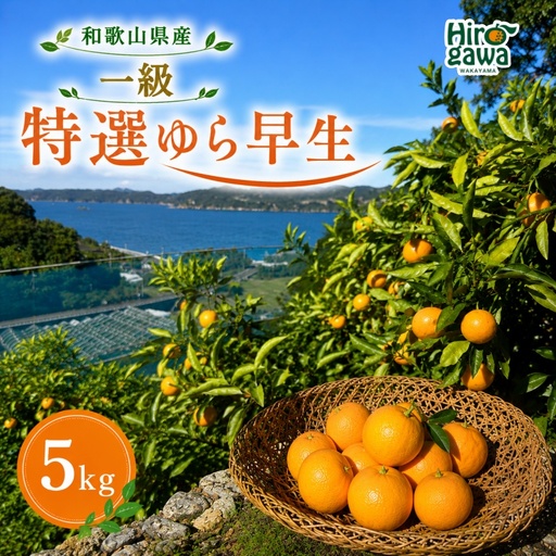 特選 ゆら早生 一級品 5kg / 和歌山 有田 広川 ゆら早生 早生みかん 柑橘 果物 くだもの ギフト フルーツ 果実 ※2026年10月下旬〜11月中旬頃に順次発送予定[hkt003-p-5]
