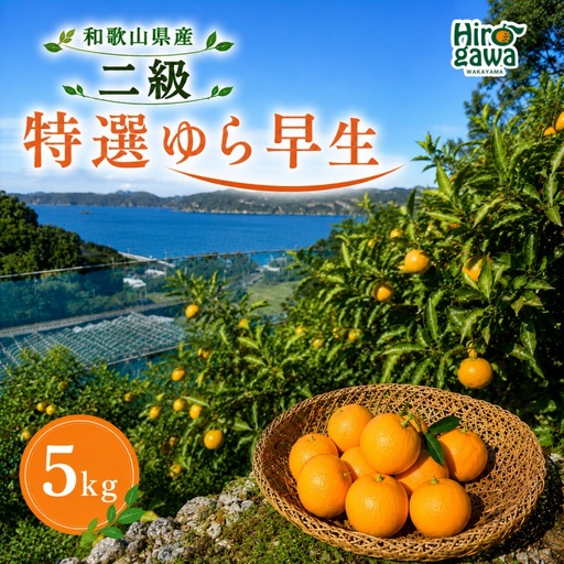 特選 ゆら早生 二級品 5kg / 和歌山 有田 広川 ゆら早生 早生みかん 柑橘 果物 くだもの ギフト フルーツ 果実 ※2026年10月下旬〜11月中旬頃に順次発送予定[hkt003-c-5]