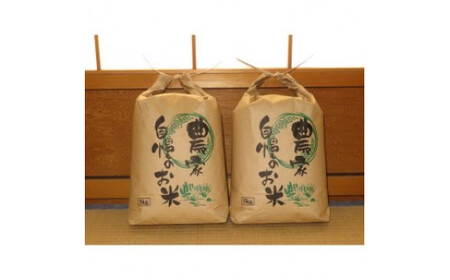 米 キヌヒカリ 5kg ×2袋 計 10kg (2024年産) 和歌山 県産 / お米 ごはん こめ 単一米 単一原料米 銘柄米 令和6年産 [hsk400-kinu-10A]